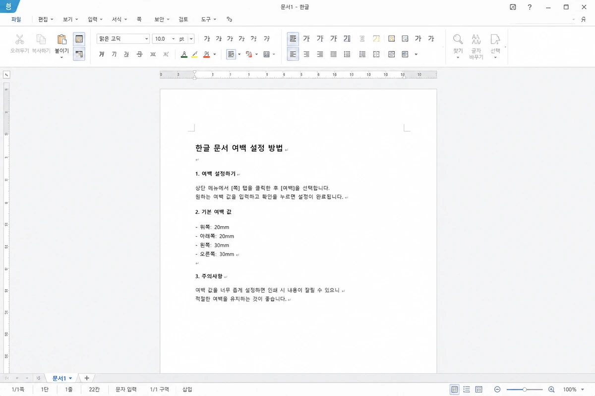 넓은 기본 여백으로 본문 영역이 좁게 배치된 한글 문서 화면