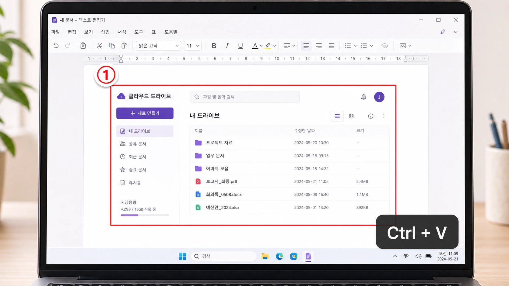 문서 창에 스크린샷을 Ctrl+V로 붙여넣은 화면