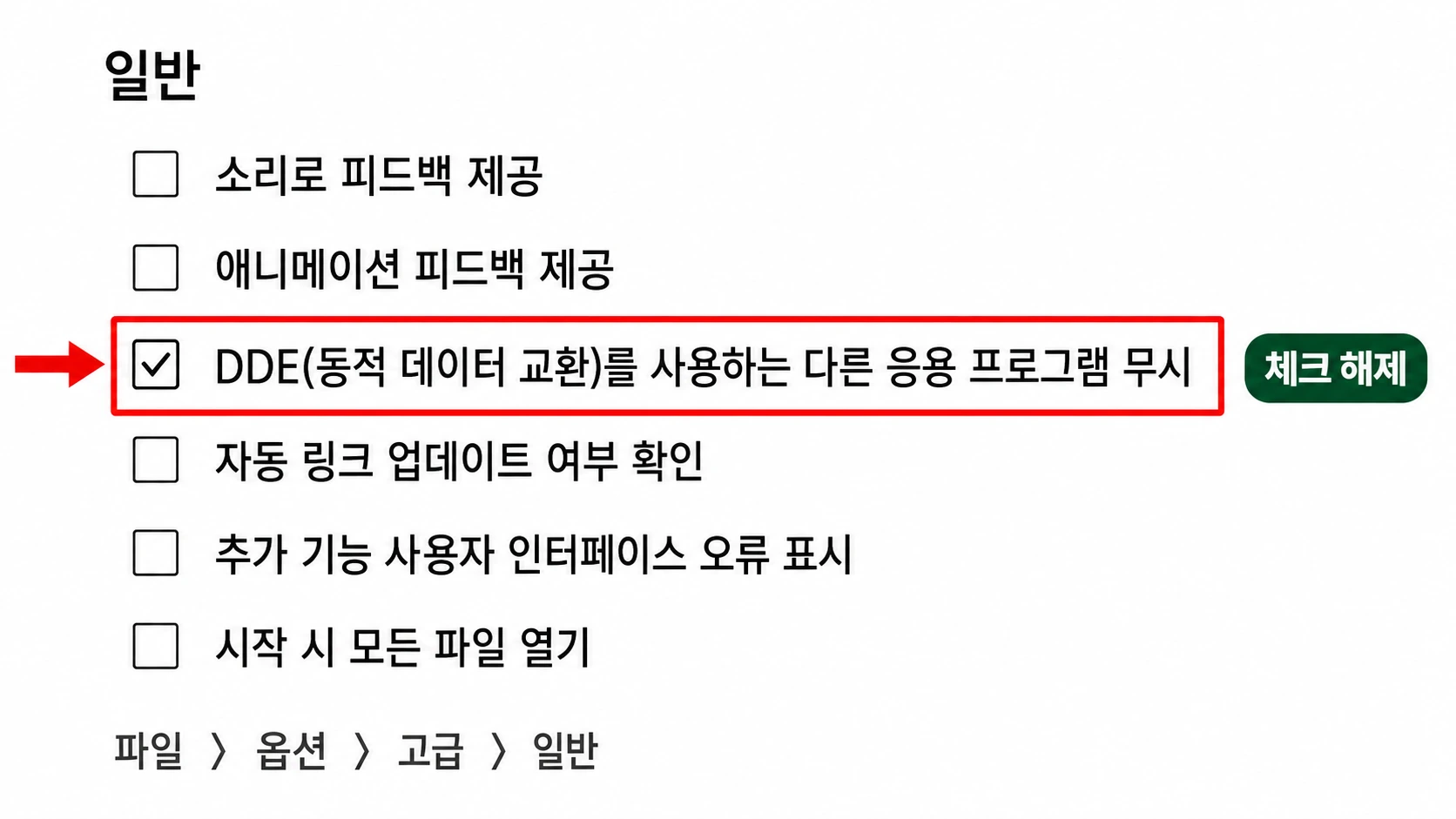 엑셀 옵션 고급의 일반 구역에서 DDE 무시 항목만 크게 확대해 빨간 네모로 표시한 화면