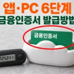 구름 모양 보관함에 들어가는 금융인증서 카드와 OTP 기기 사진, "앱·PC 6단계 금융인증서 발급방법" 문구
